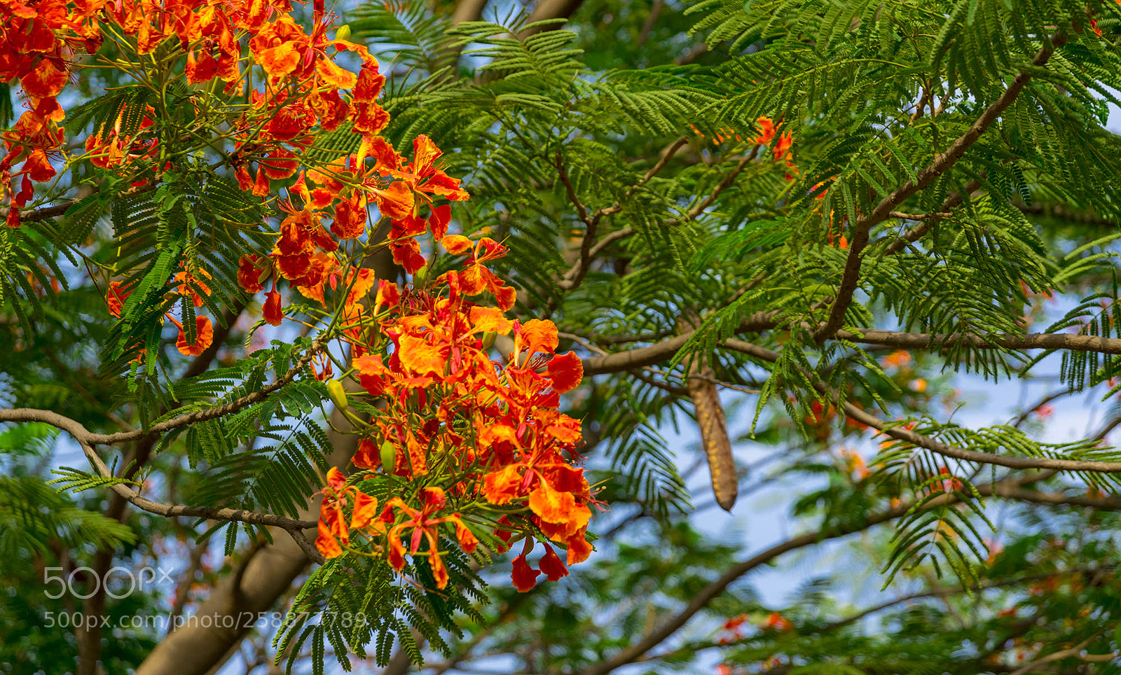 Nikon D5300 sample photo. Beauty of mother nature photography