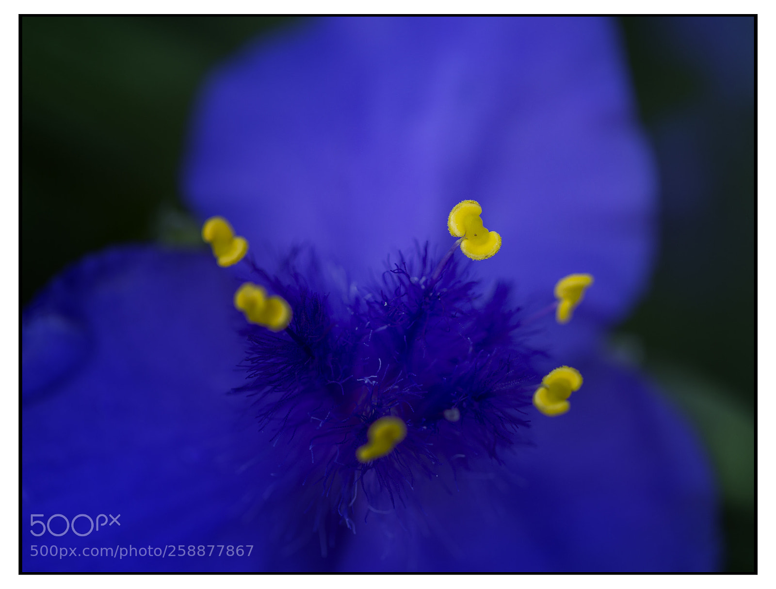 Canon EOS 6D sample photo. Into the blue photography