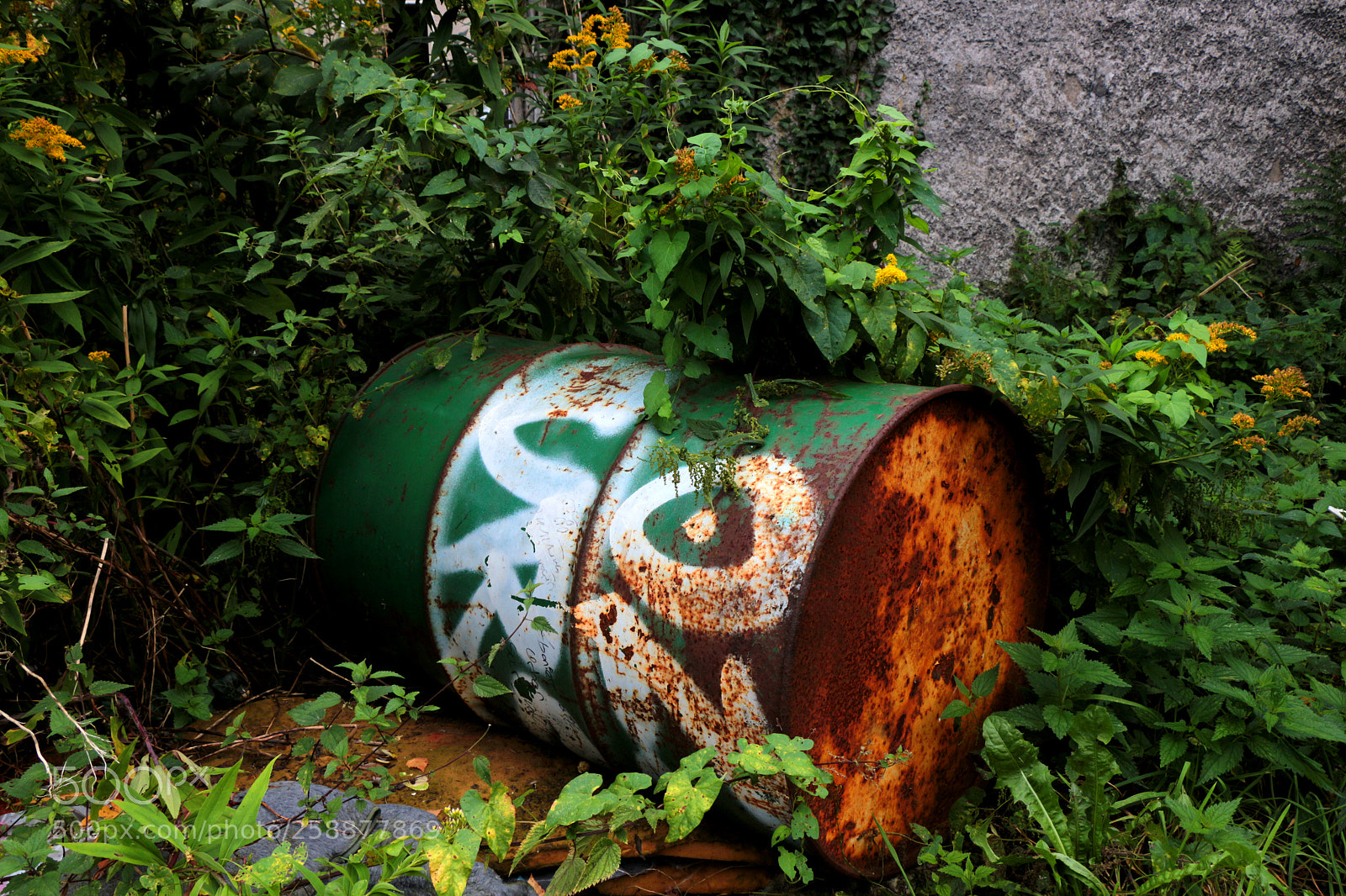Canon EOS 700D (EOS Rebel T5i / EOS Kiss X7i) sample photo. Lost place photography