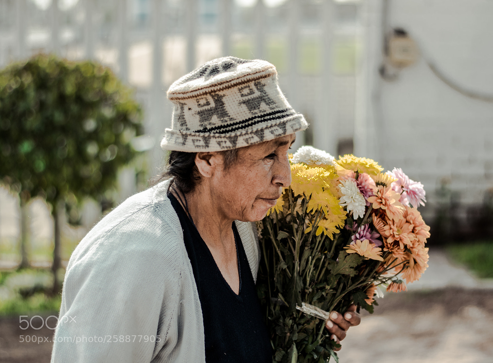 Nikon D5300 sample photo. La mayor a de photography