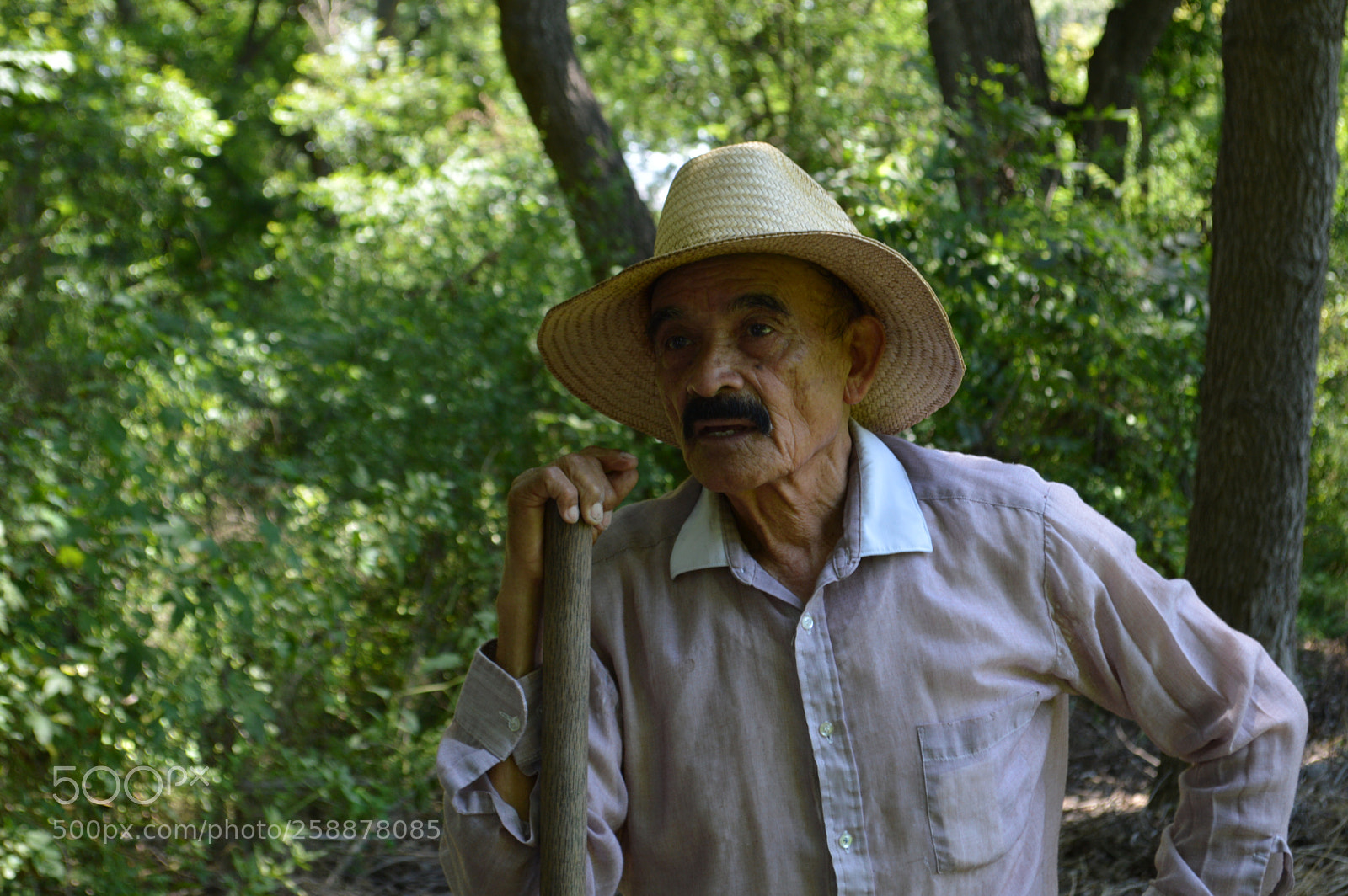 Nikon D3200 sample photo. Ezequiel photography
