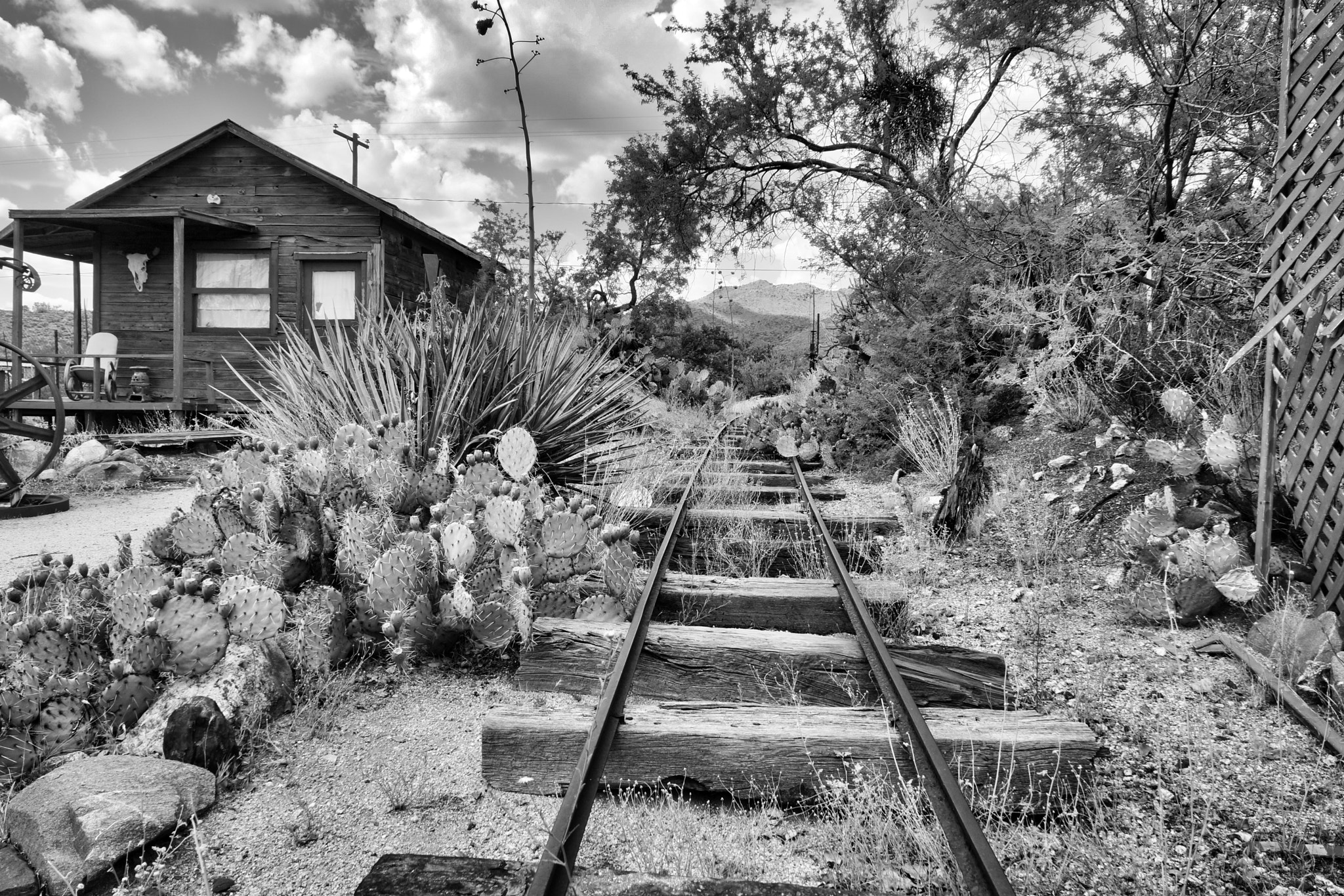 Hasselblad Lunar sample photo. Tracks in the desert photography