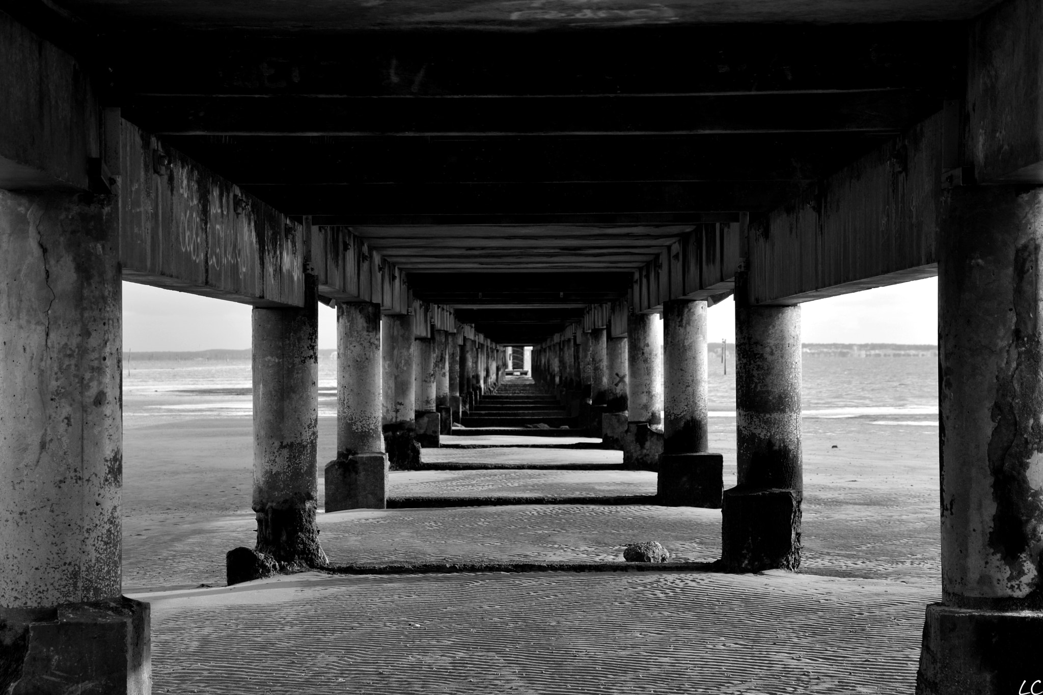 Nikon D5300 sample photo. A bridge crossing the nature iii photography