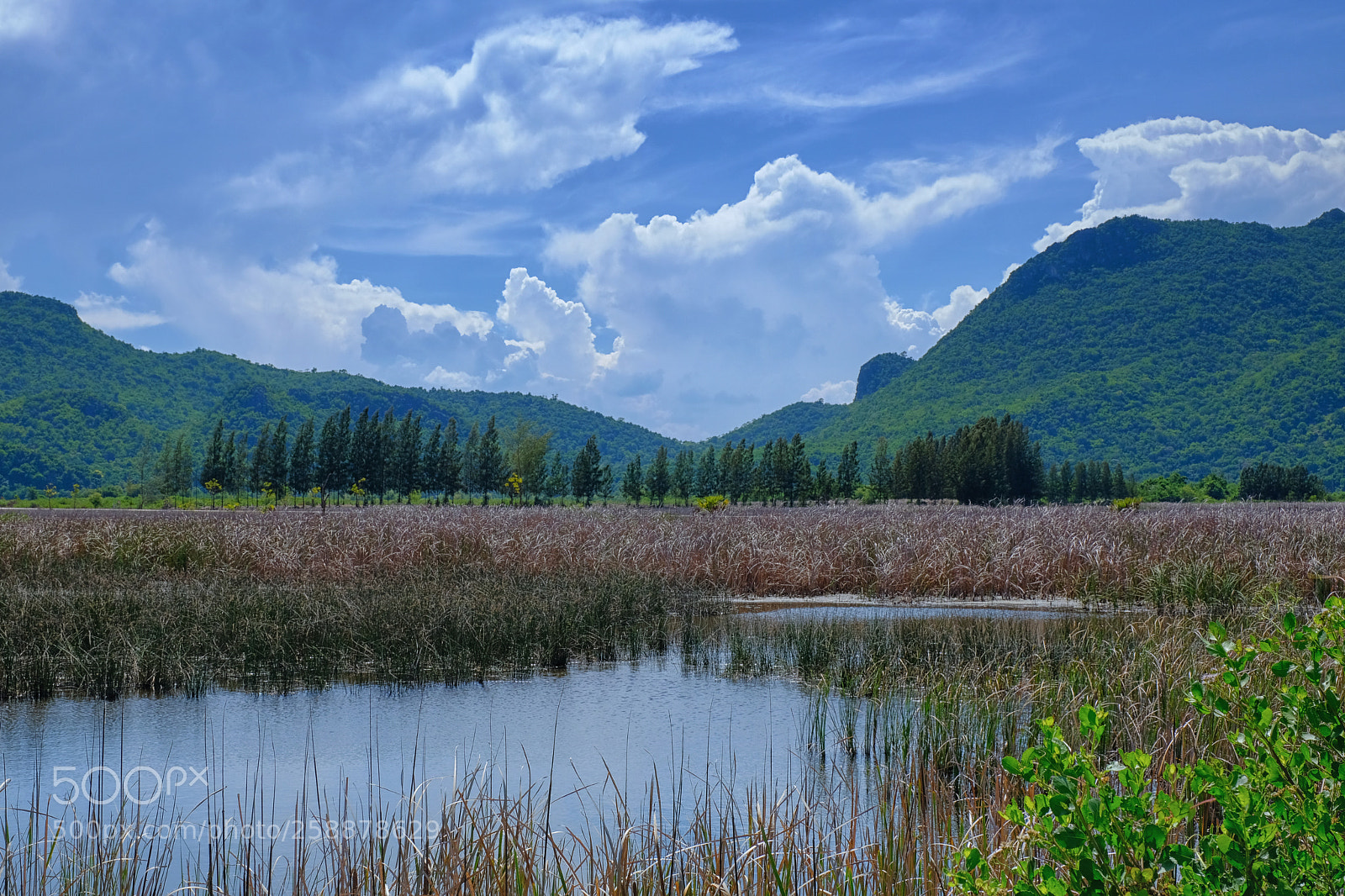 Fujifilm X-T2 sample photo. Beautiful view mountain green photography