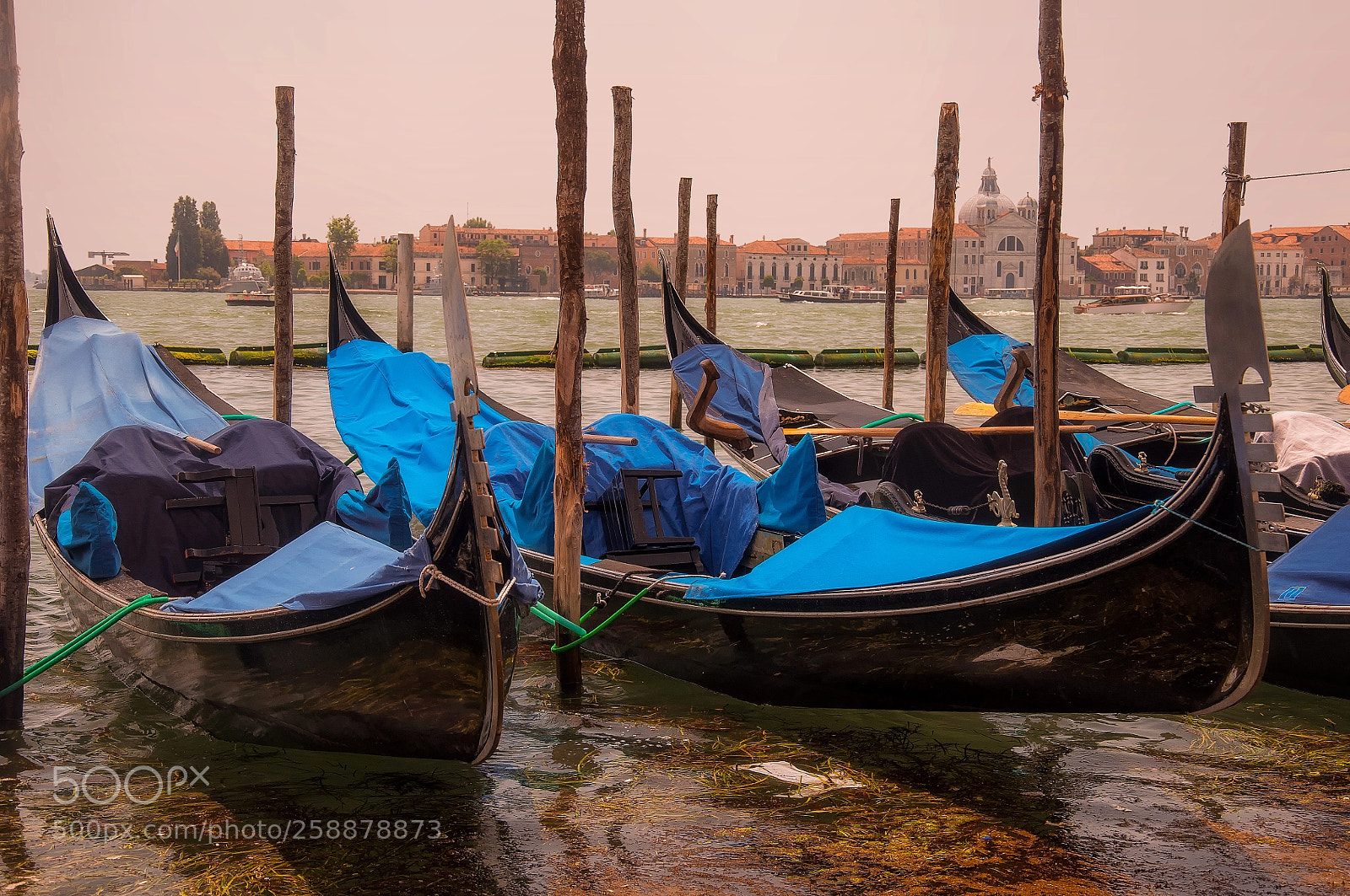 Nikon D5000 sample photo. Venezia photography