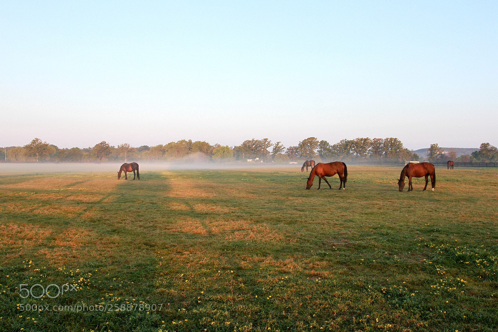 Canon EOS 7D sample photo. Morning  photography