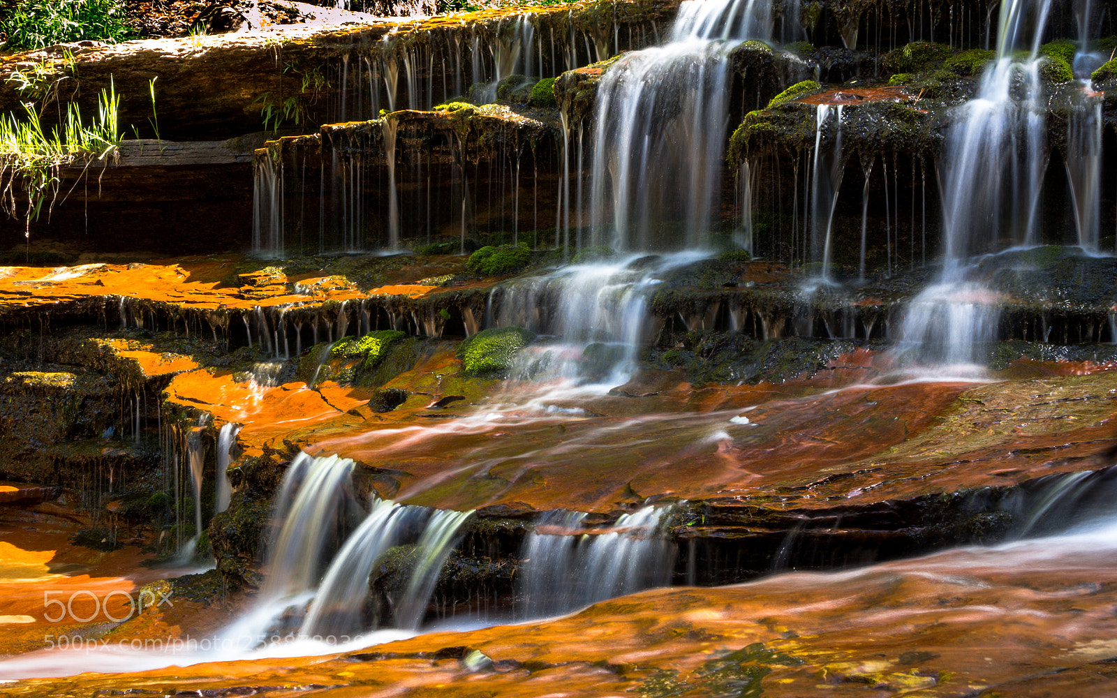 Olympus OM-D E-M5 sample photo. Zion national park, archangel photography