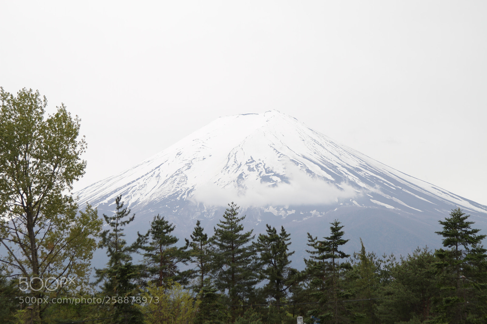 Canon EOS 7D + Canon EF 24-105mm F4L IS USM sample photo. Mt fuji photography
