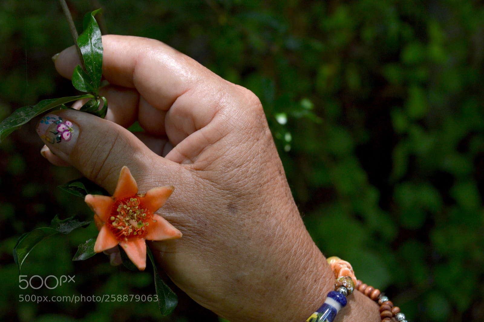 Nikon D3200 sample photo. Mano de aurora photography
