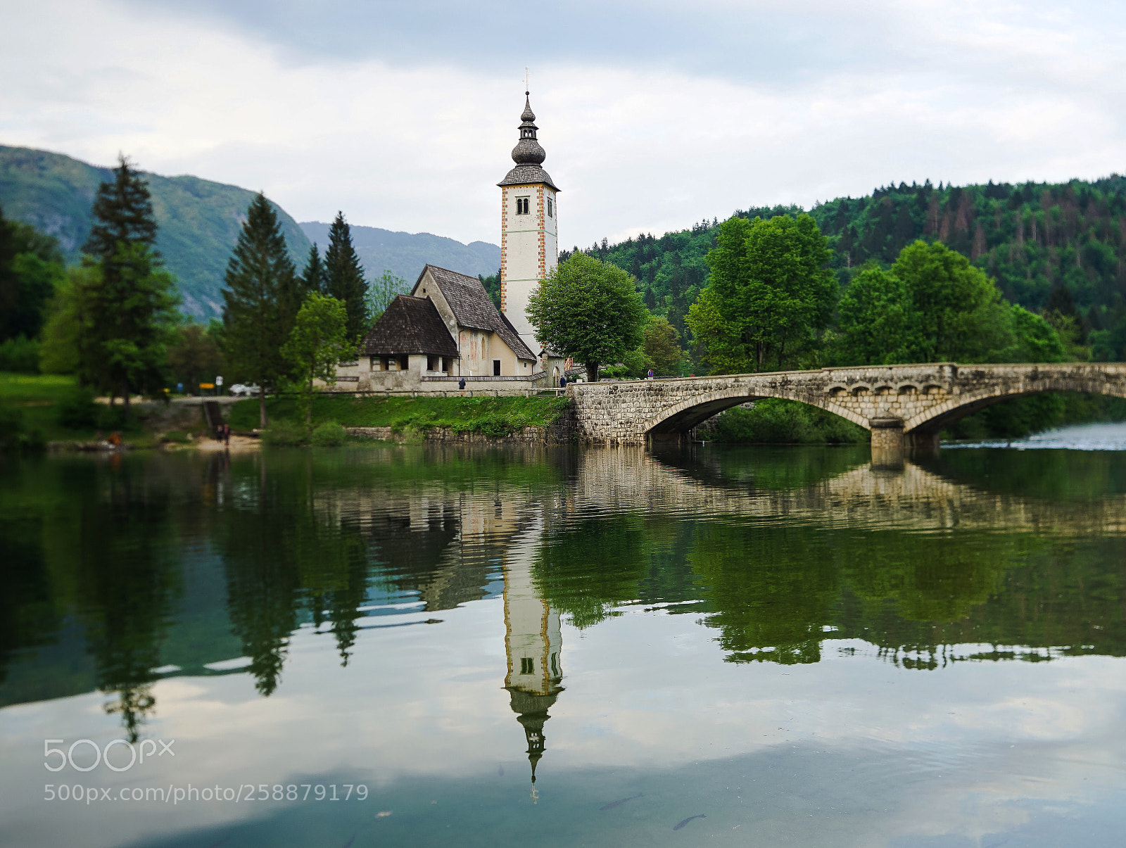 Sony a7 II sample photo. Beauty in nature photography