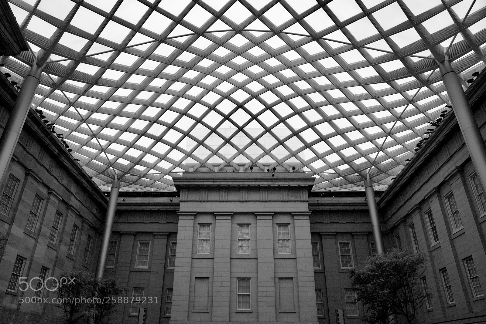 Nikon D750 sample photo. The glass ceiling photography