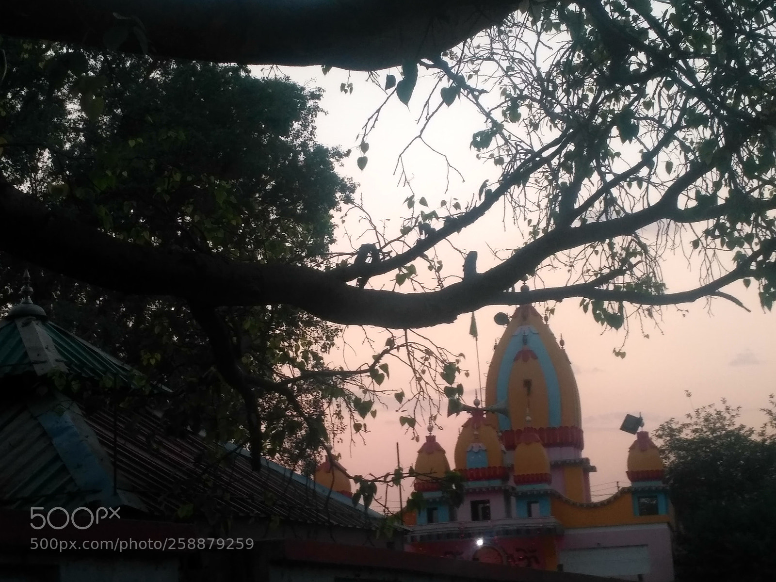 Xiaomi Redmi 3S sample photo. Untitled photography