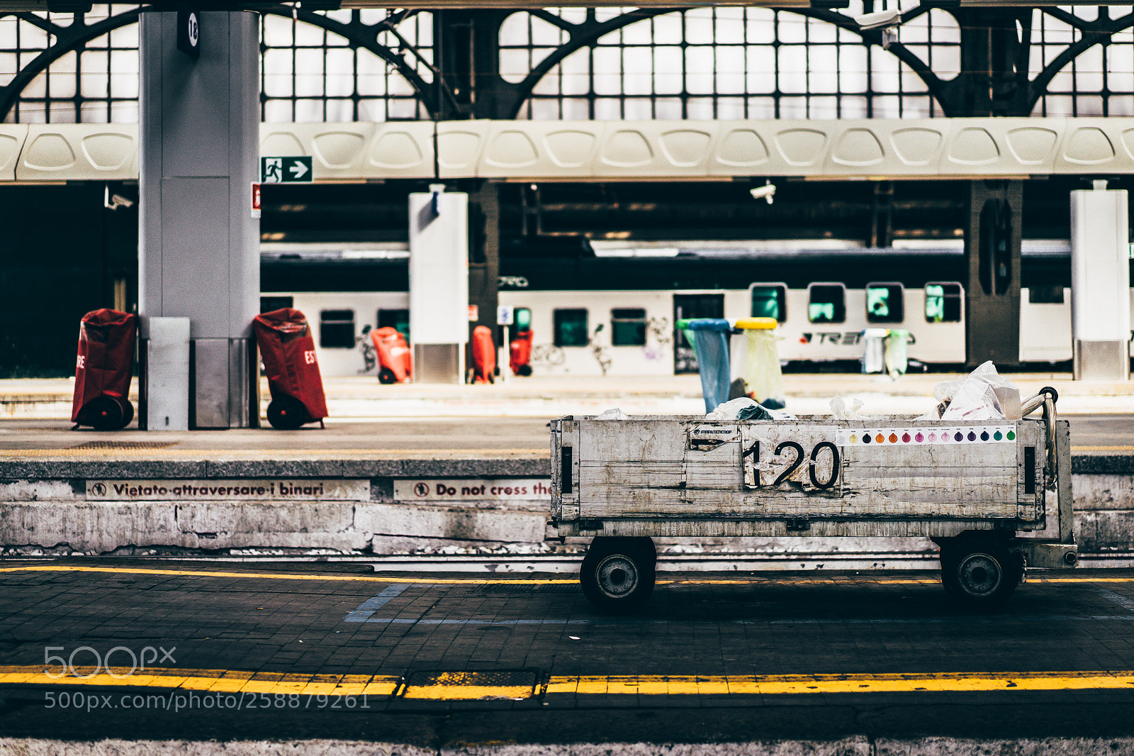 Sony a7 II sample photo. Beauty is everywhere - 120 photography