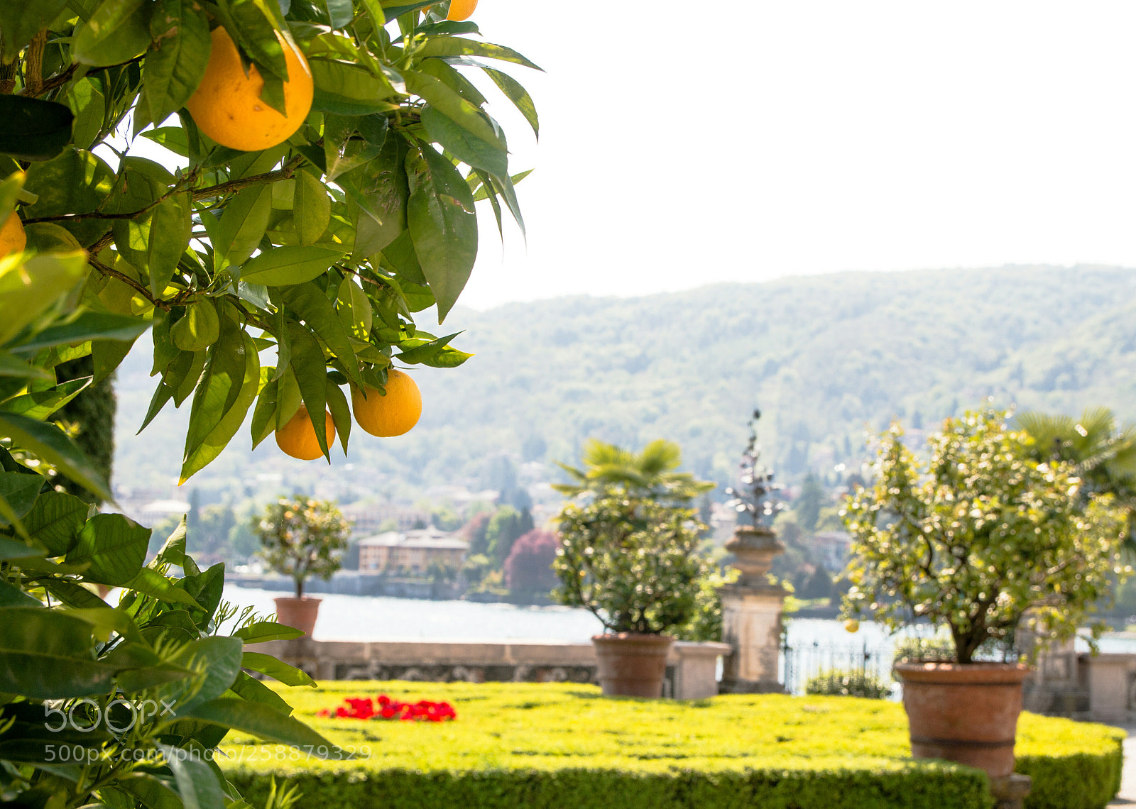 Canon EOS 70D sample photo. Isola bella lago maggiore photography