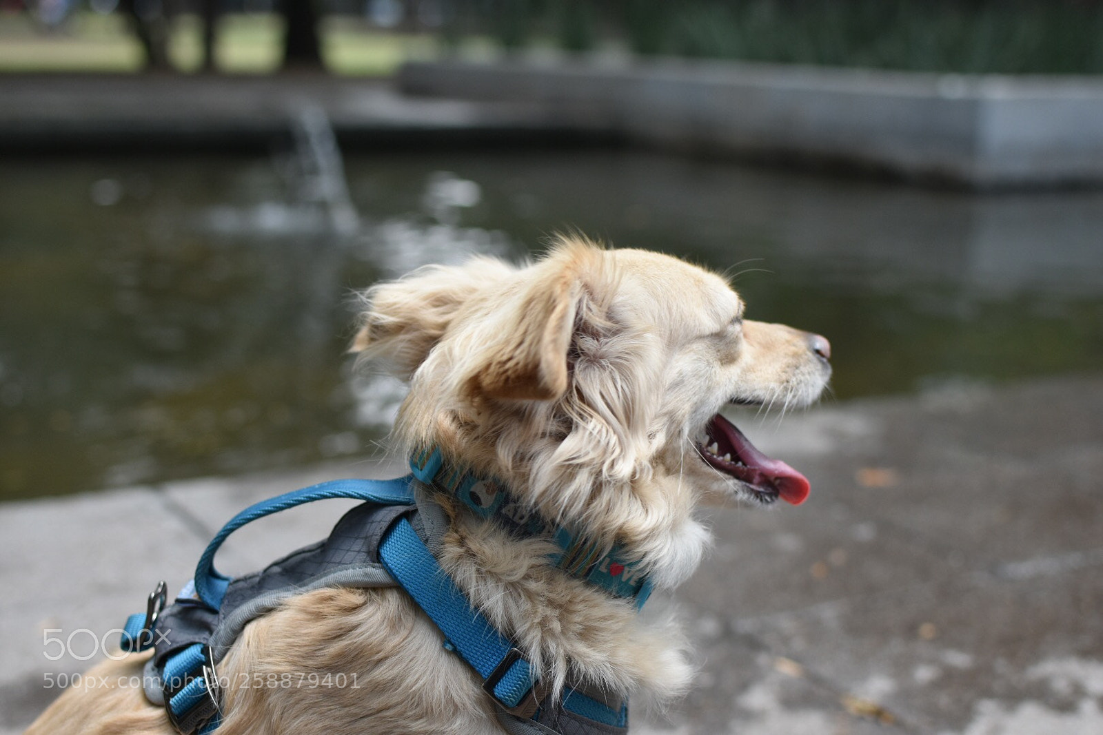 Nikon D3400 sample photo. Untitled photography