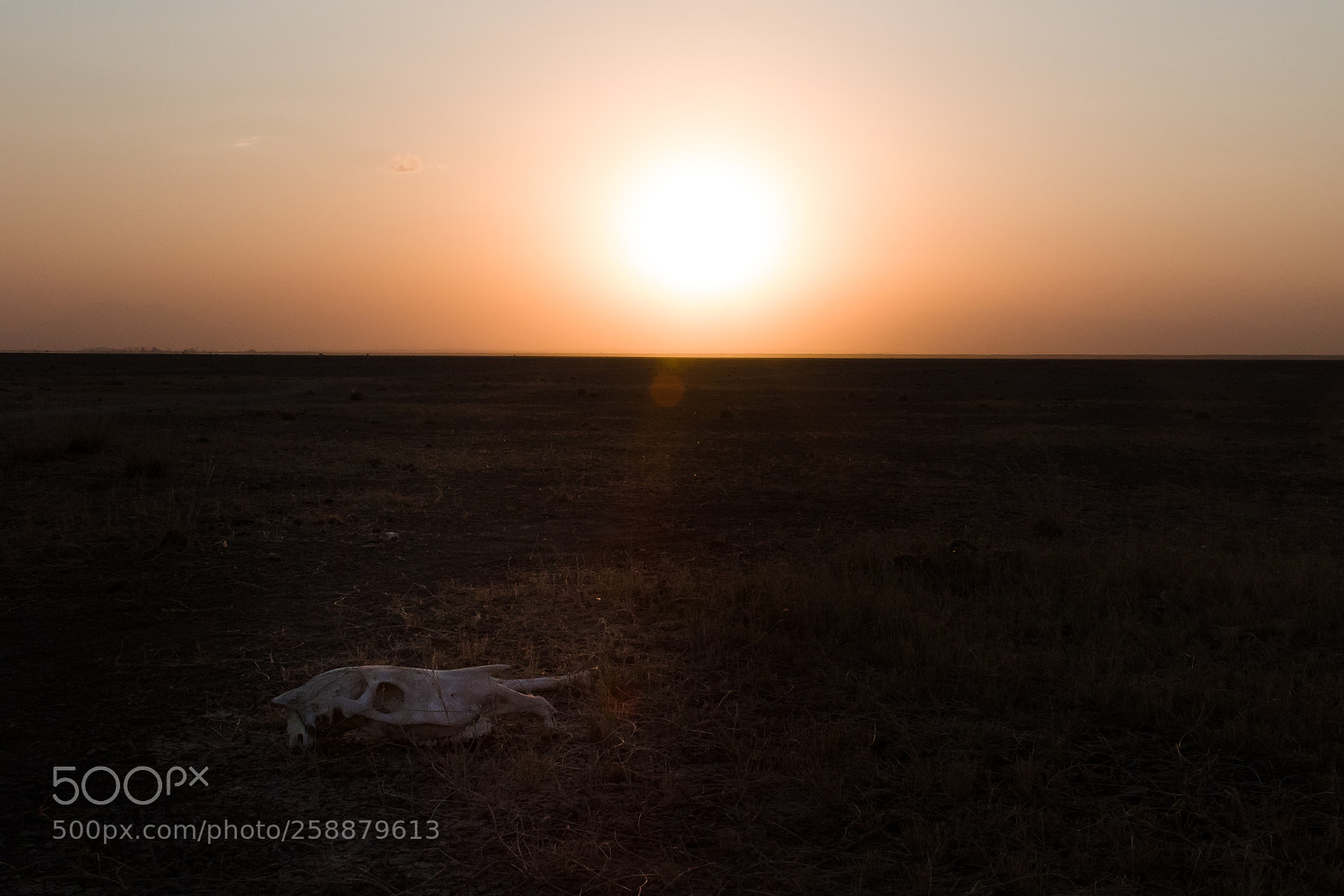 Canon EOS 7D Mark II sample photo. Da photography