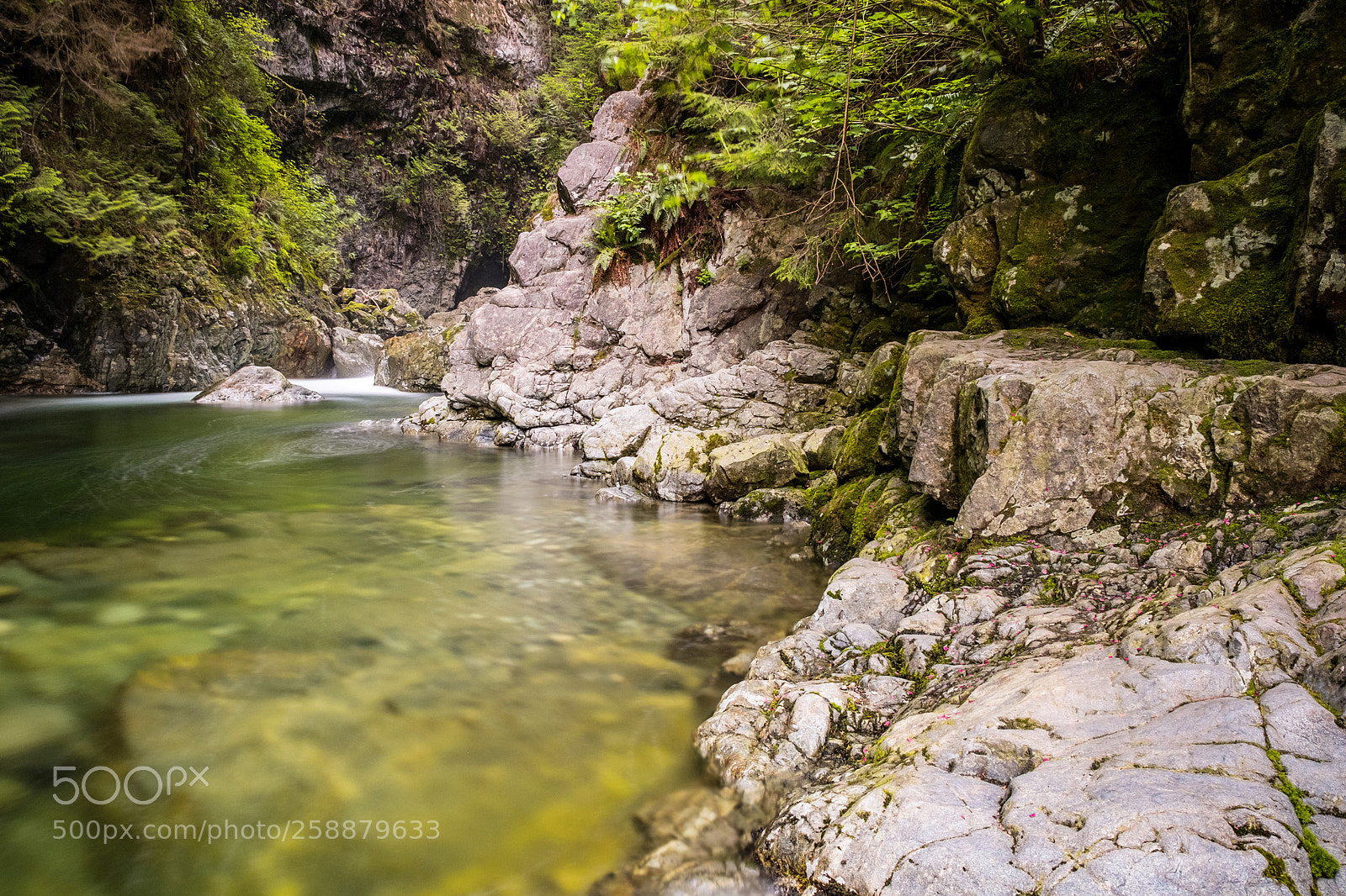 Fujifilm X-T20 sample photo. Creek side photography