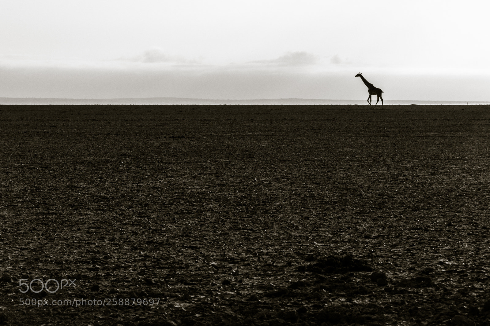 Canon EOS 7D Mark II sample photo. 4d2a2271-2.jpg photography