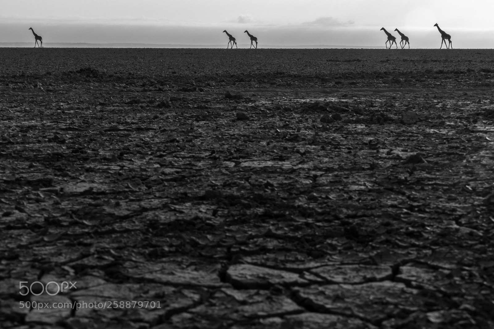 Canon EOS 7D Mark II sample photo. 4d2a2282-2.jpg photography