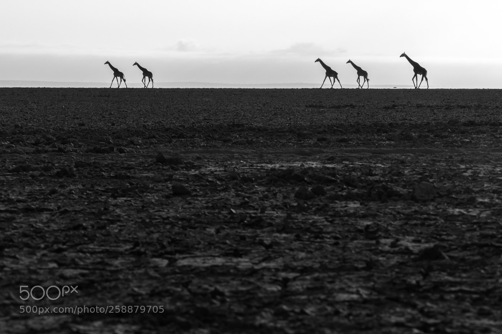 Canon EOS 7D Mark II sample photo. 4d2a2284-2.jpg photography