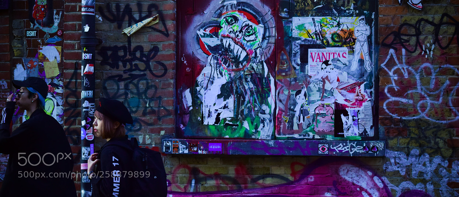 Nikon D5300 sample photo. Purple photography