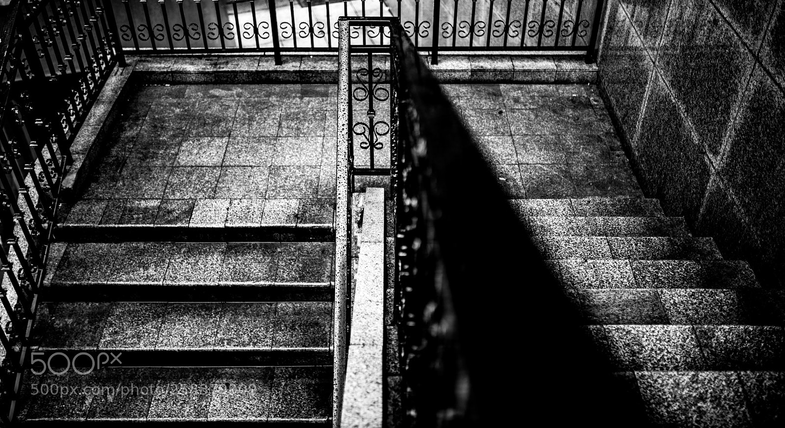 Nikon D610 sample photo. Ladder photography