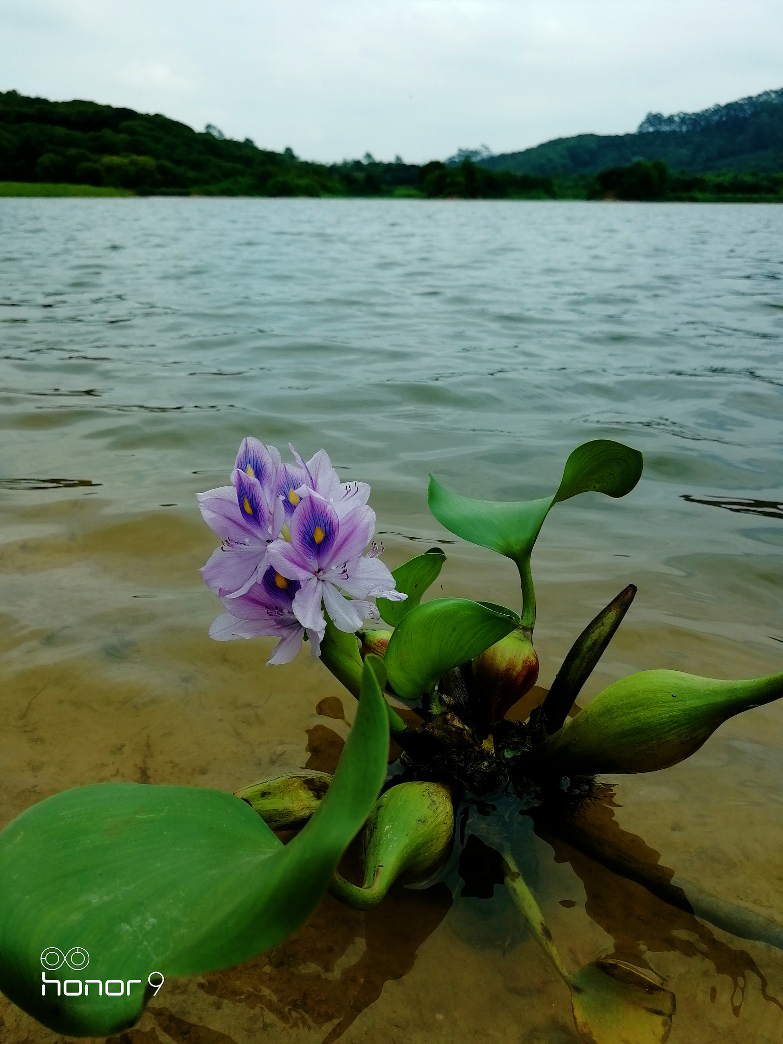 HUAWEI Honor 9 sample photo