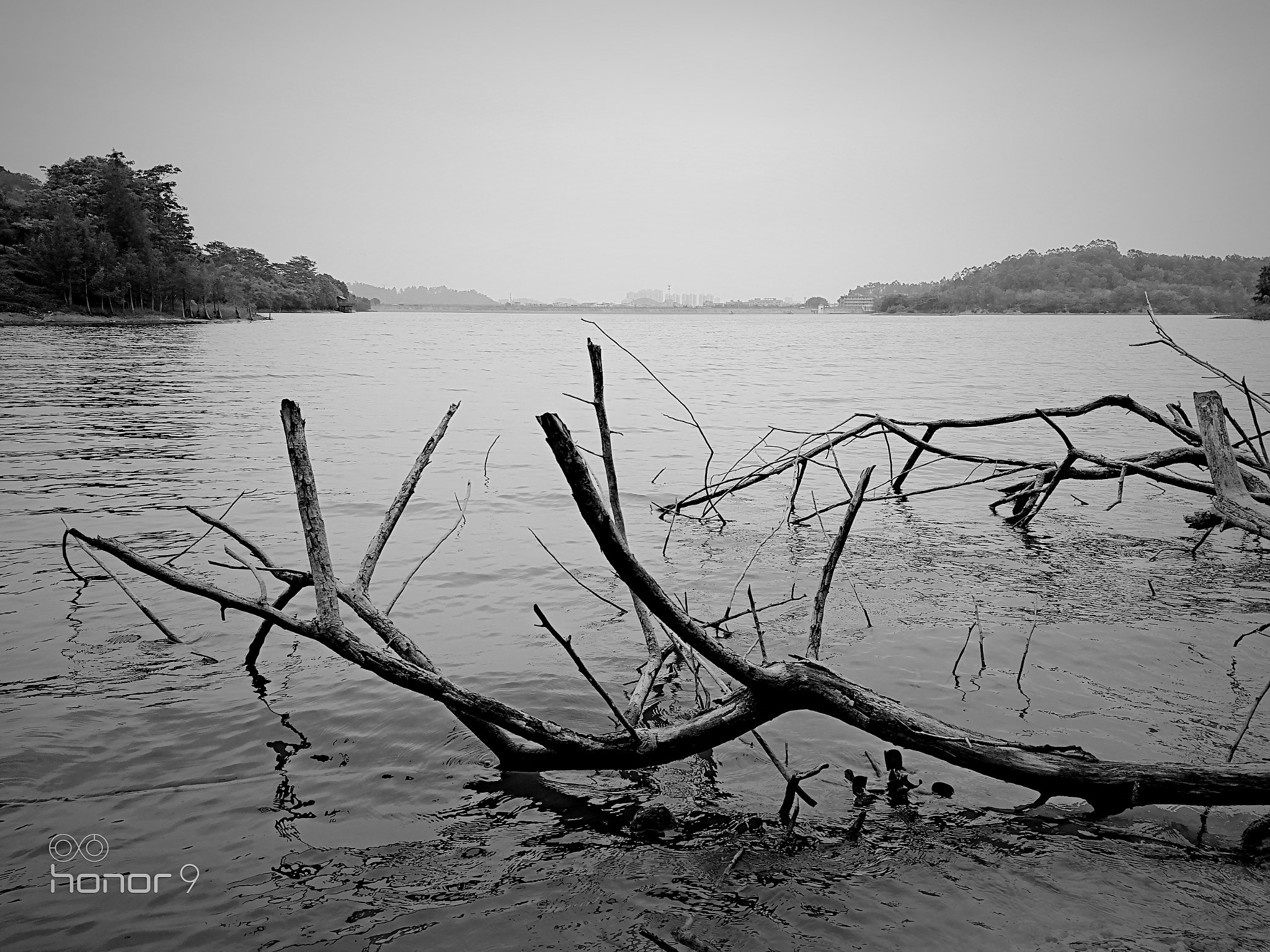 HUAWEI Honor 9 sample photo