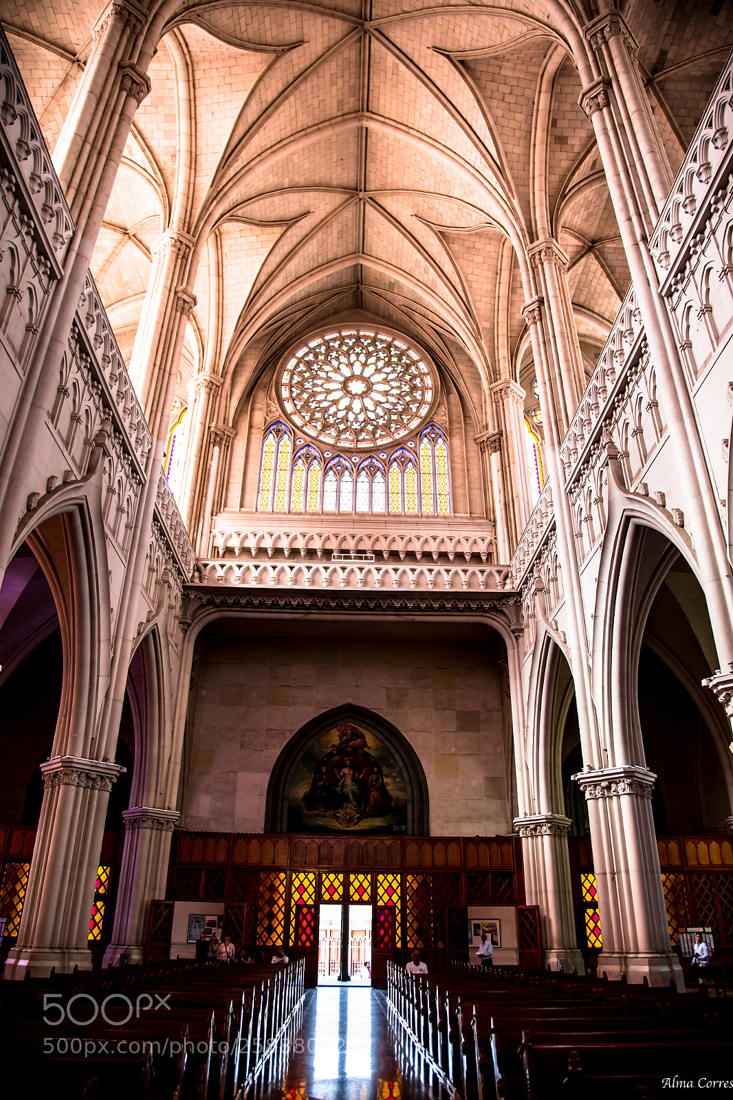 Canon EOS 6D sample photo. Main entrance with rose photography