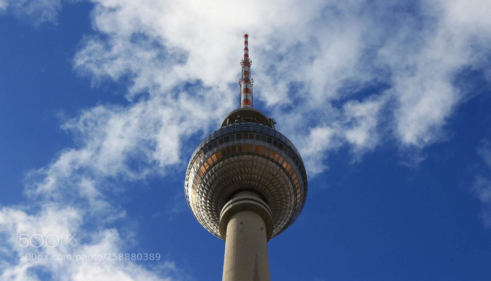 Canon EOS 700D (EOS Rebel T5i / EOS Kiss X7i) sample photo. Alex photography