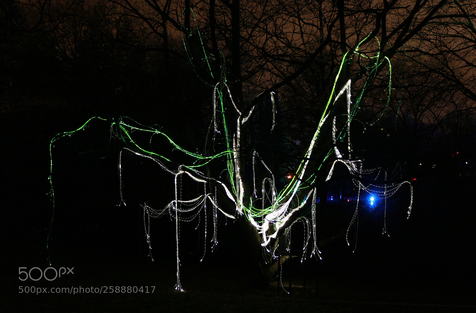 Canon EOS 700D (EOS Rebel T5i / EOS Kiss X7i) sample photo. Lights photography
