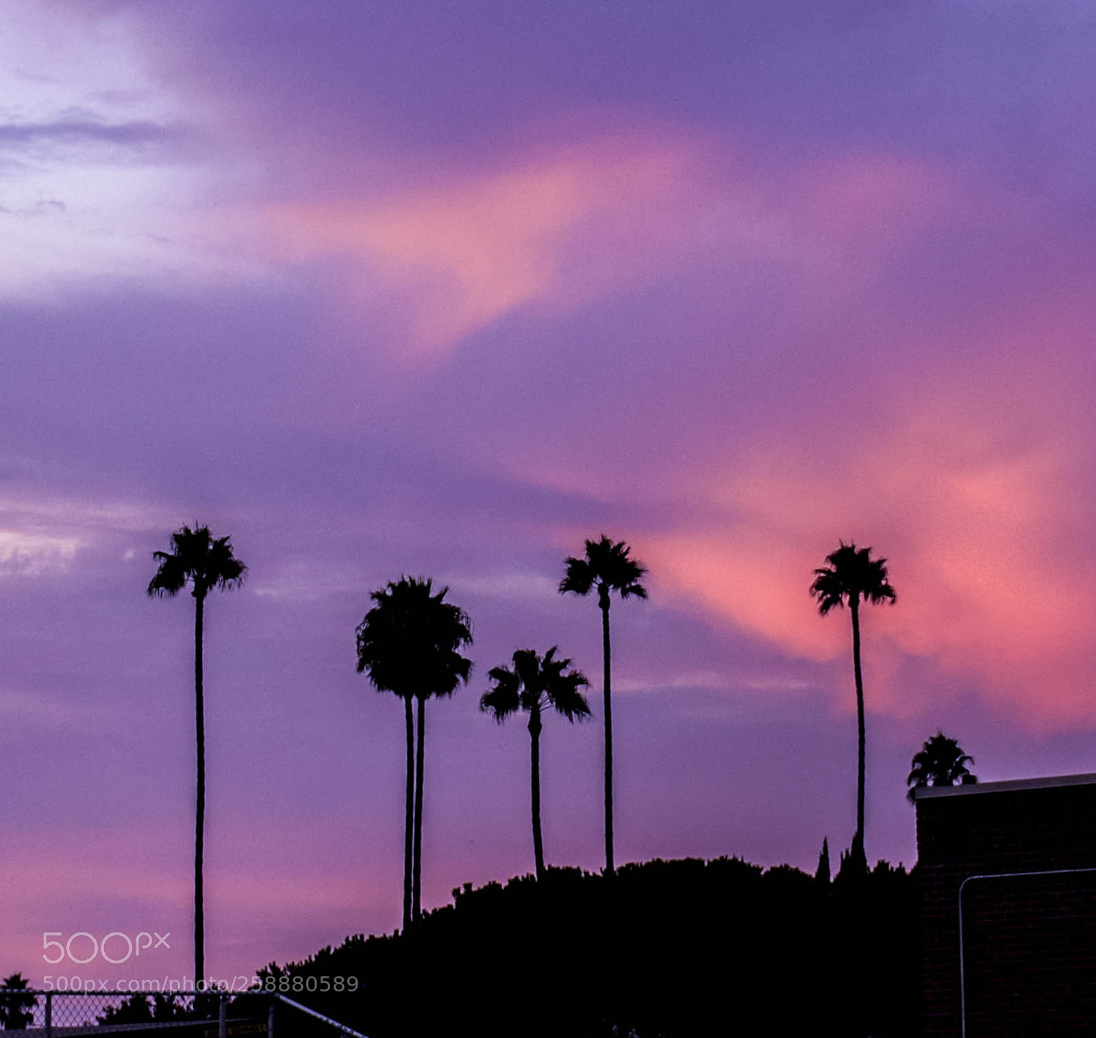 Nikon D5300 sample photo. Final photography