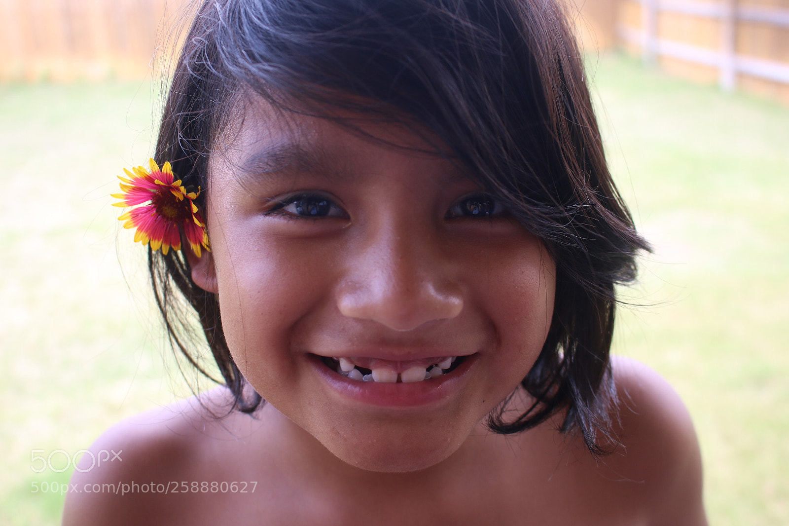 Canon EOS 70D sample photo. Photo essay photography