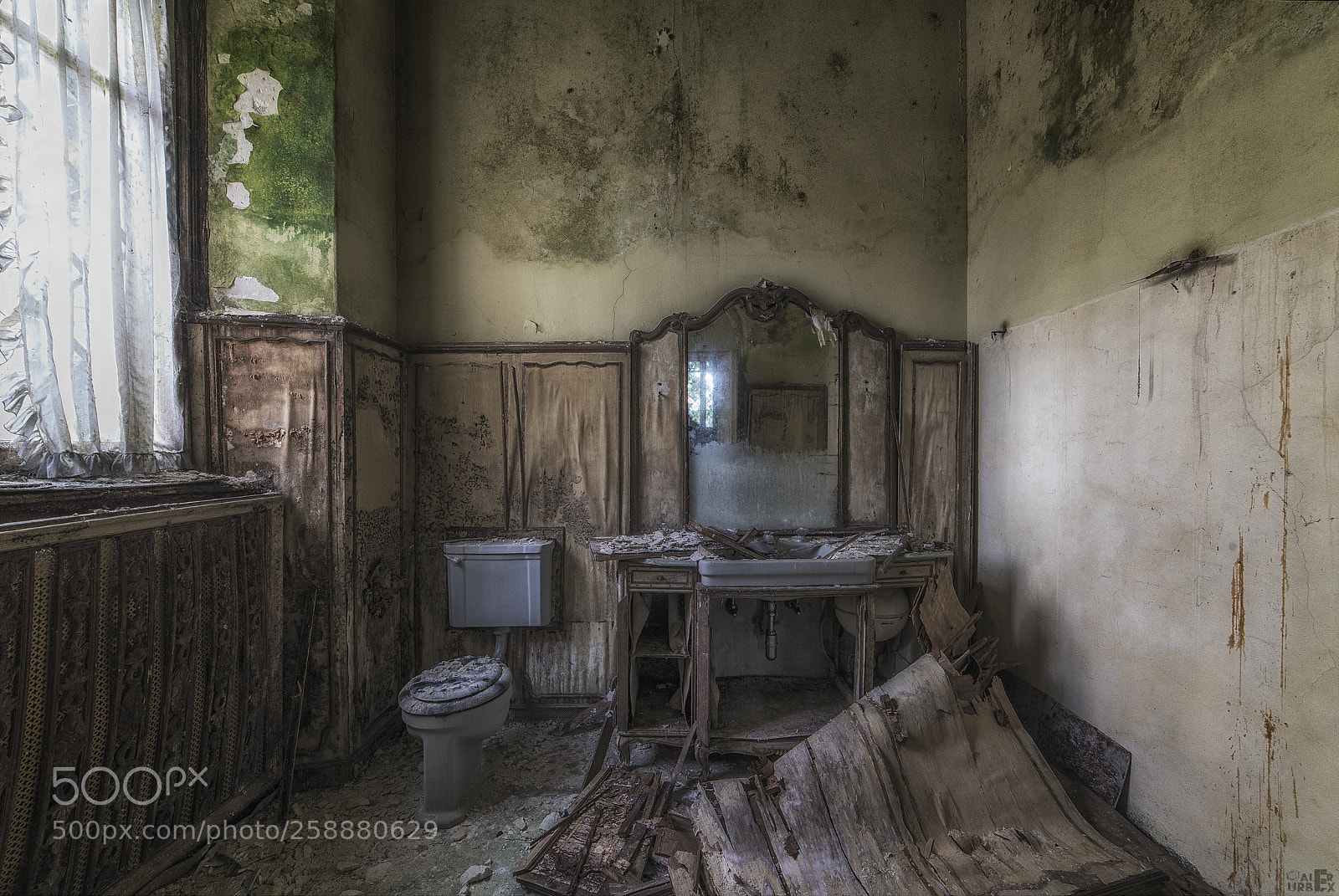 Nikon D750 sample photo. The last toilette photography