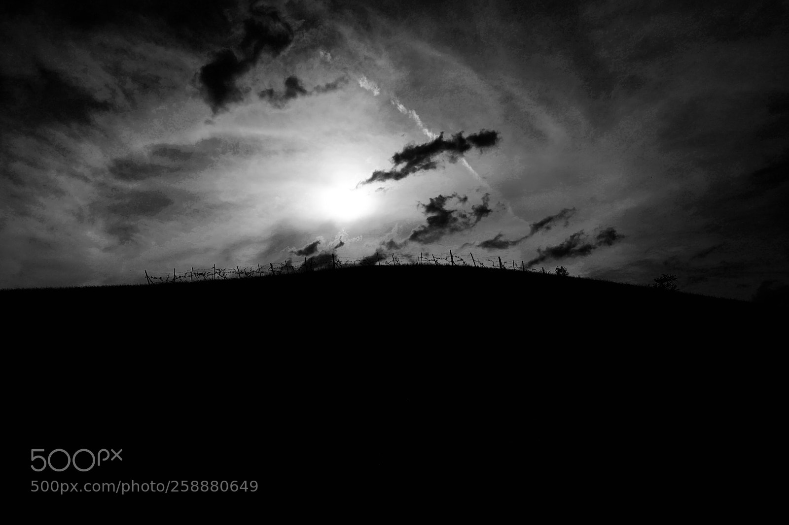 Leica Q (Typ 116) sample photo. Vine hill photography