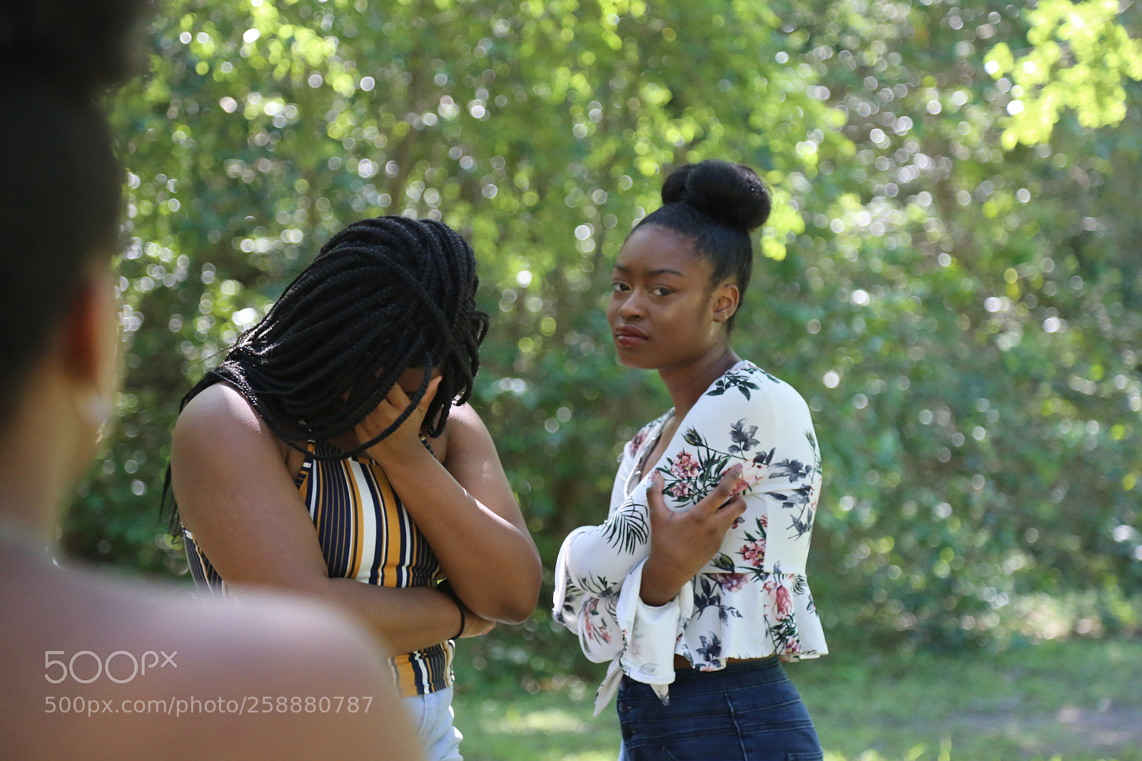 Canon EOS 6D + Canon EF 24-105mm F4L IS USM sample photo. Img photography