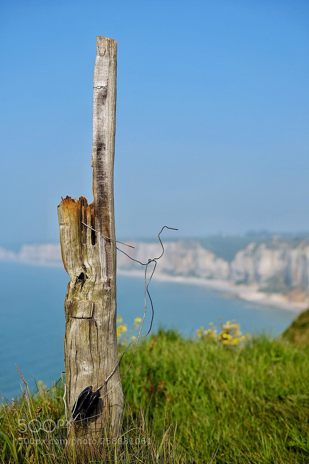 Fujifilm X-T1 sample photo. Au pied d'yport photography