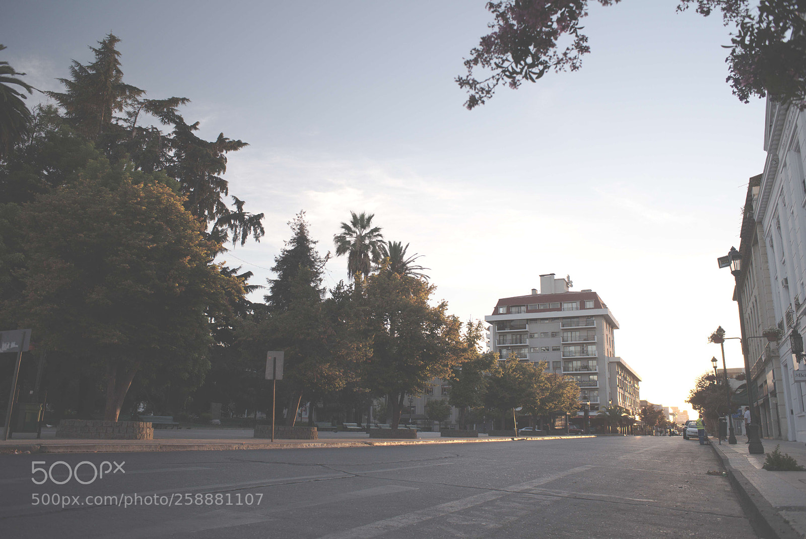 Nikon D750 sample photo. Talca&paris&londres photography