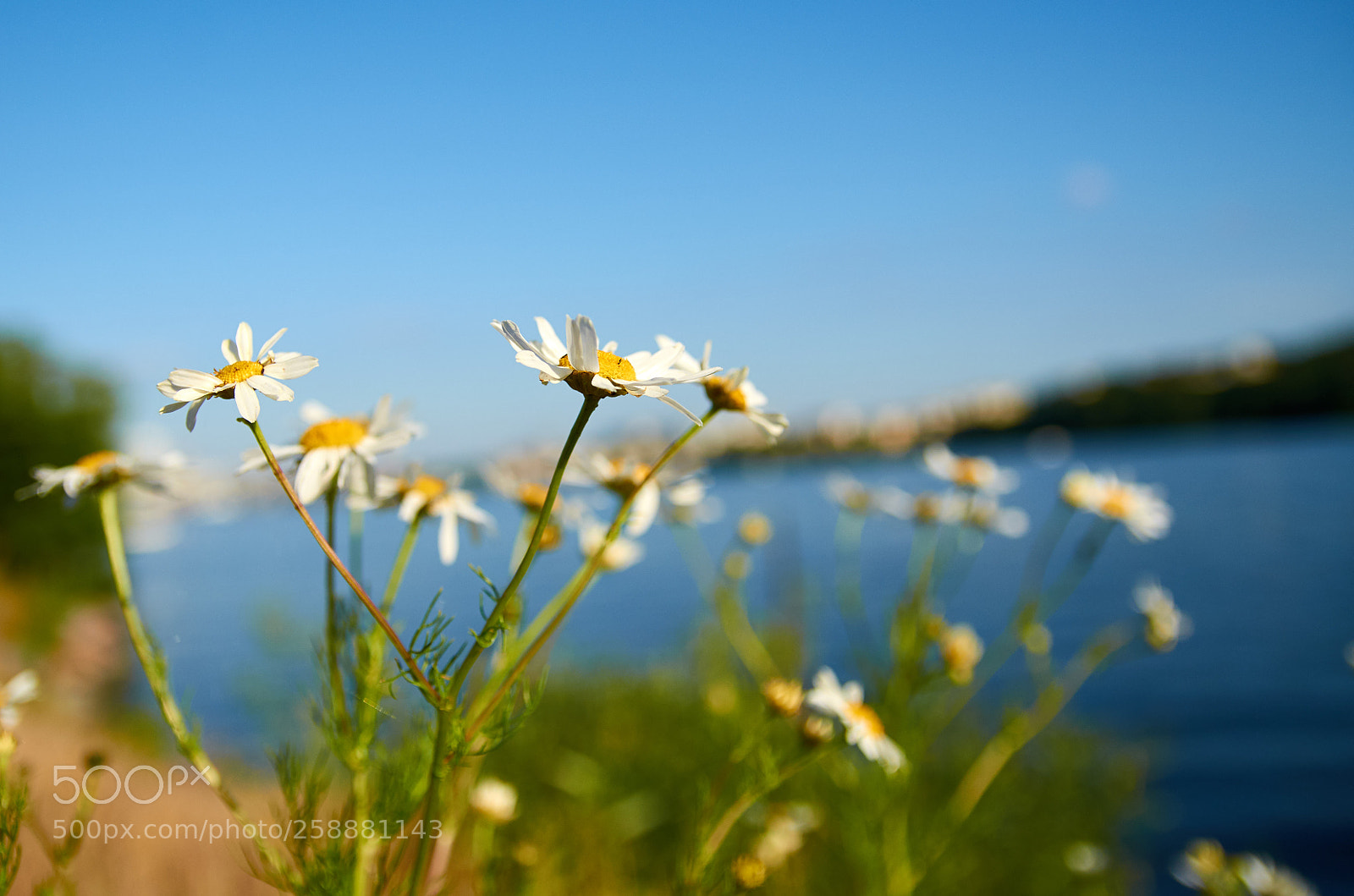 Nikon D7000 sample photo. Untitled photography