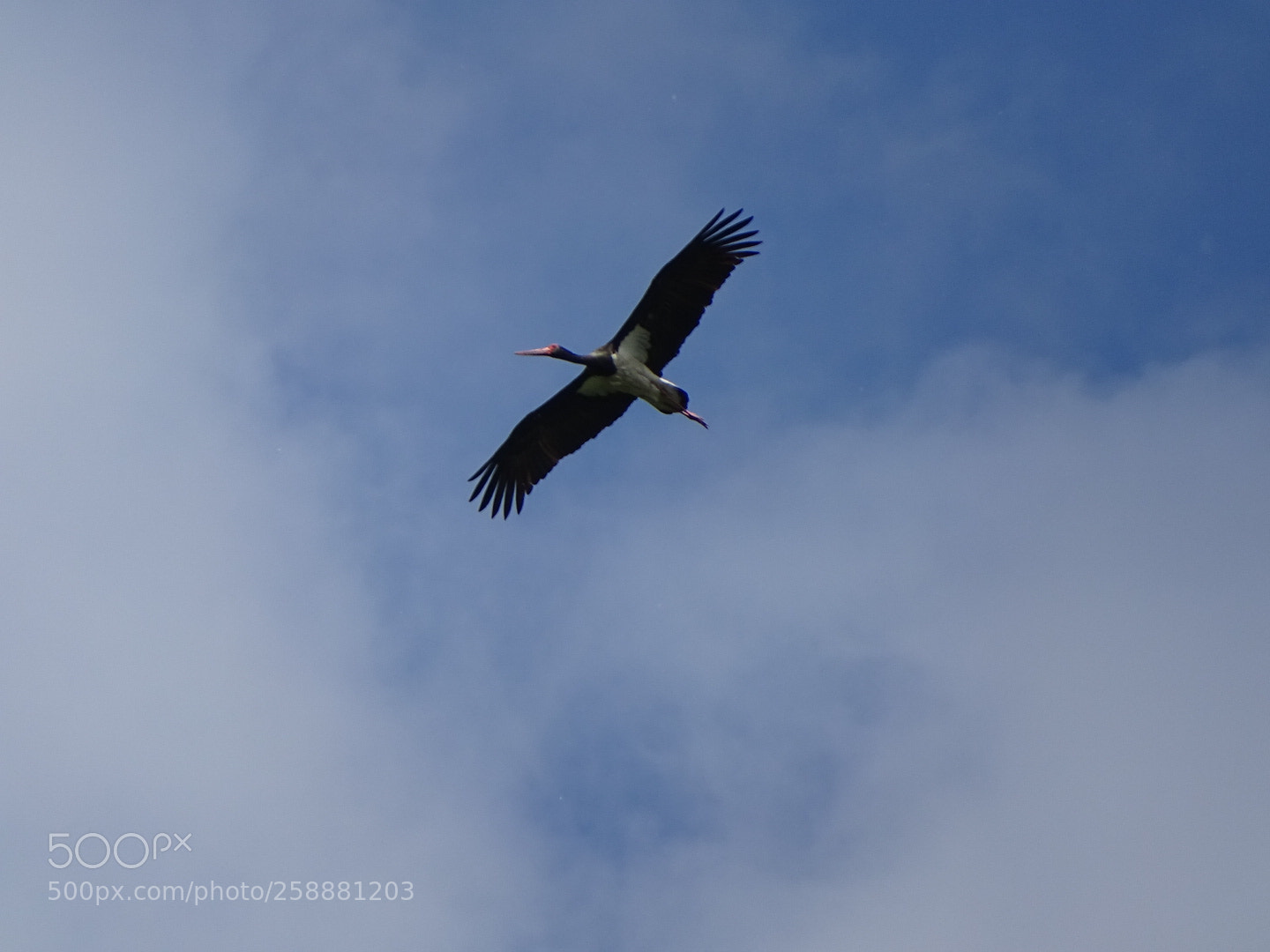 Sony Cyber-shot DSC-HX400V sample photo. Flight photography