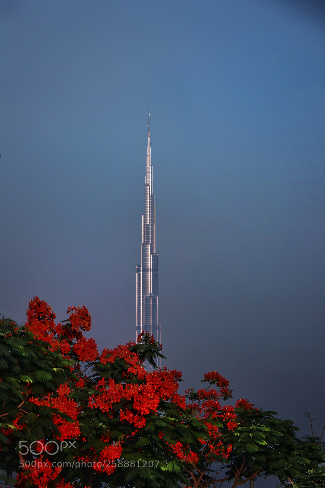Canon EOS 80D sample photo. Nature with architecture photography