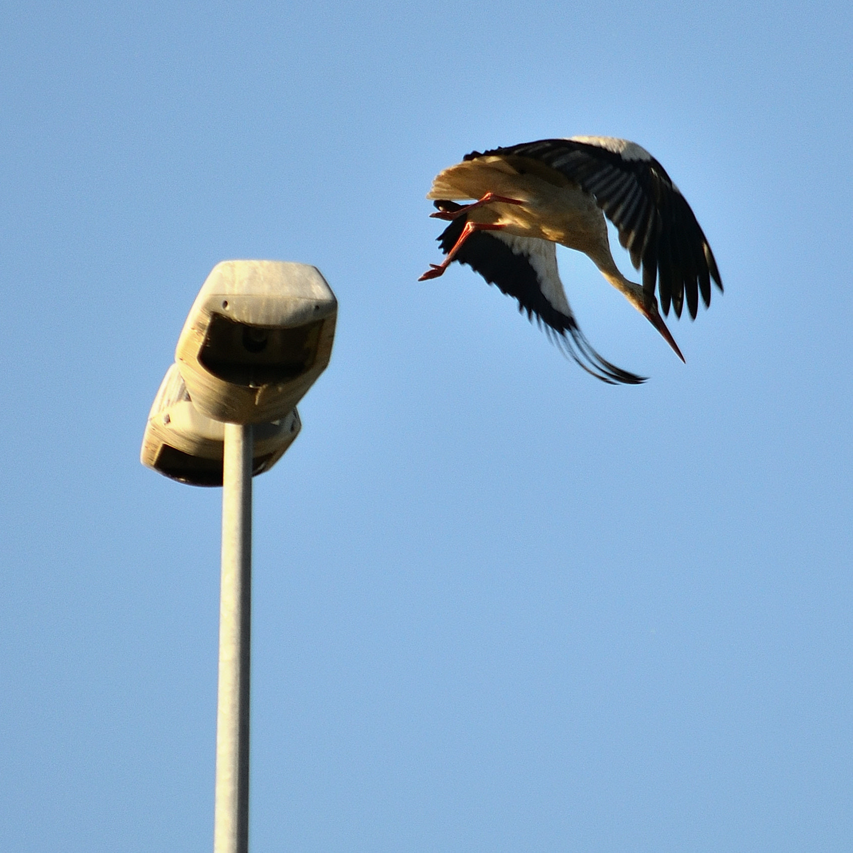 Nikon D3100 sample photo. Bye photography