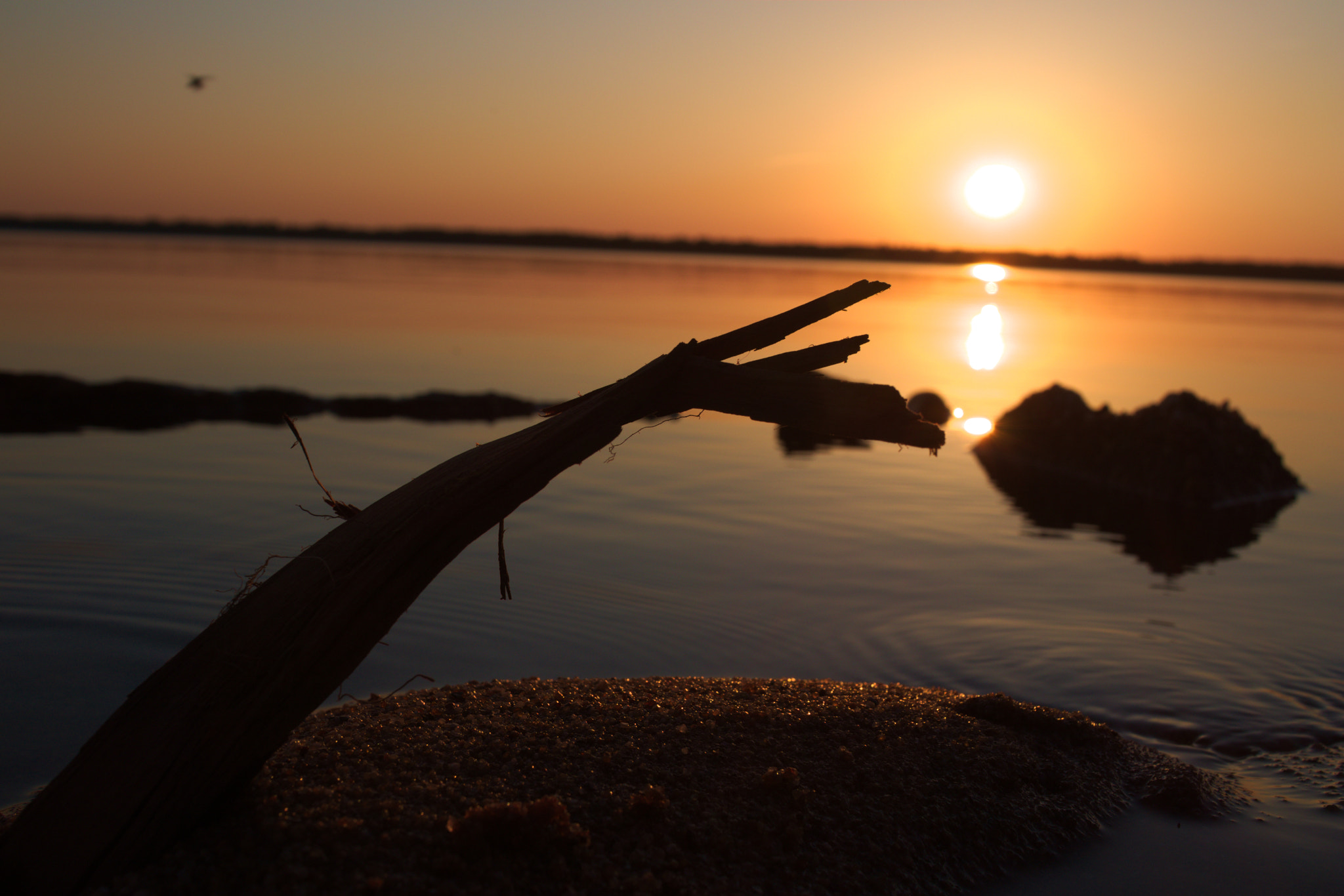 Canon EF-S 24mm F2.8 STM sample photo