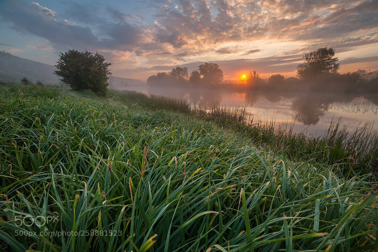 Nikon D700 sample photo. Bright sunrise photography