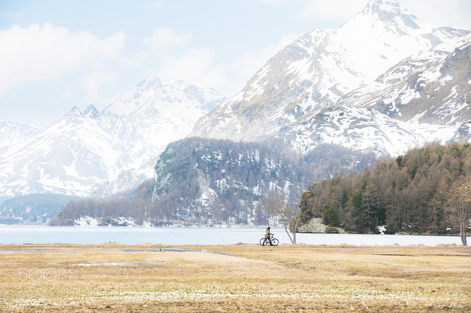 Canon EOS 5D Mark IV sample photo. Serenity in an early photography