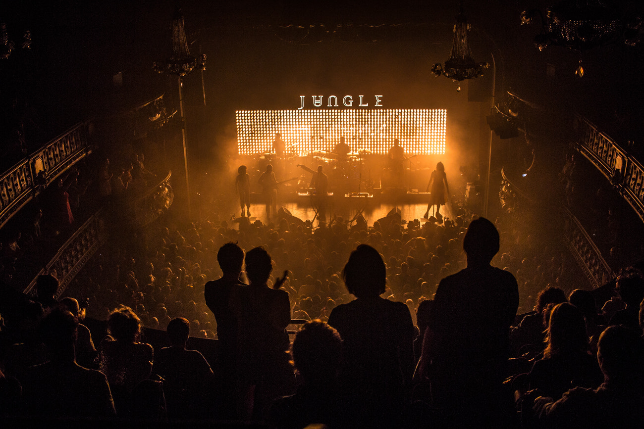 Canon EOS 600D (Rebel EOS T3i / EOS Kiss X5) sample photo. Jungle @ le trianon photography
