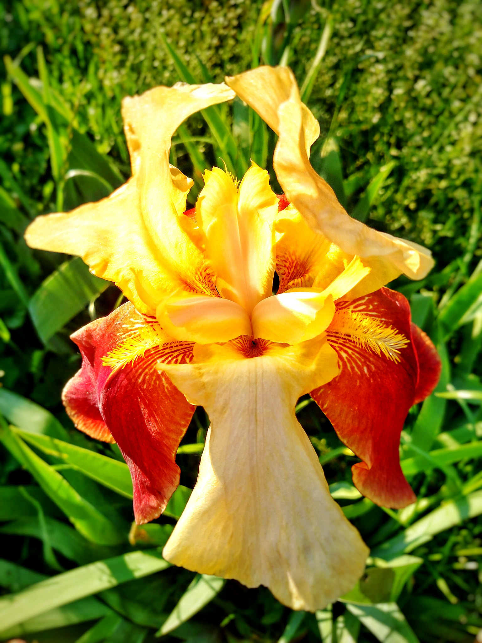 Motorola Droid Turbo sample photo. Untitled photography