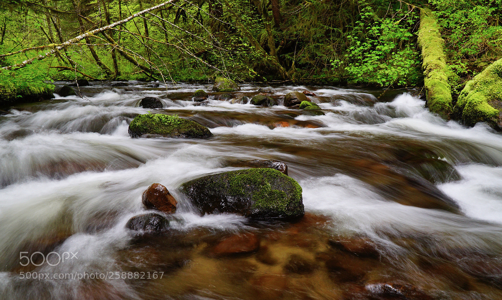 Sony a6000 sample photo. Spring flow photography