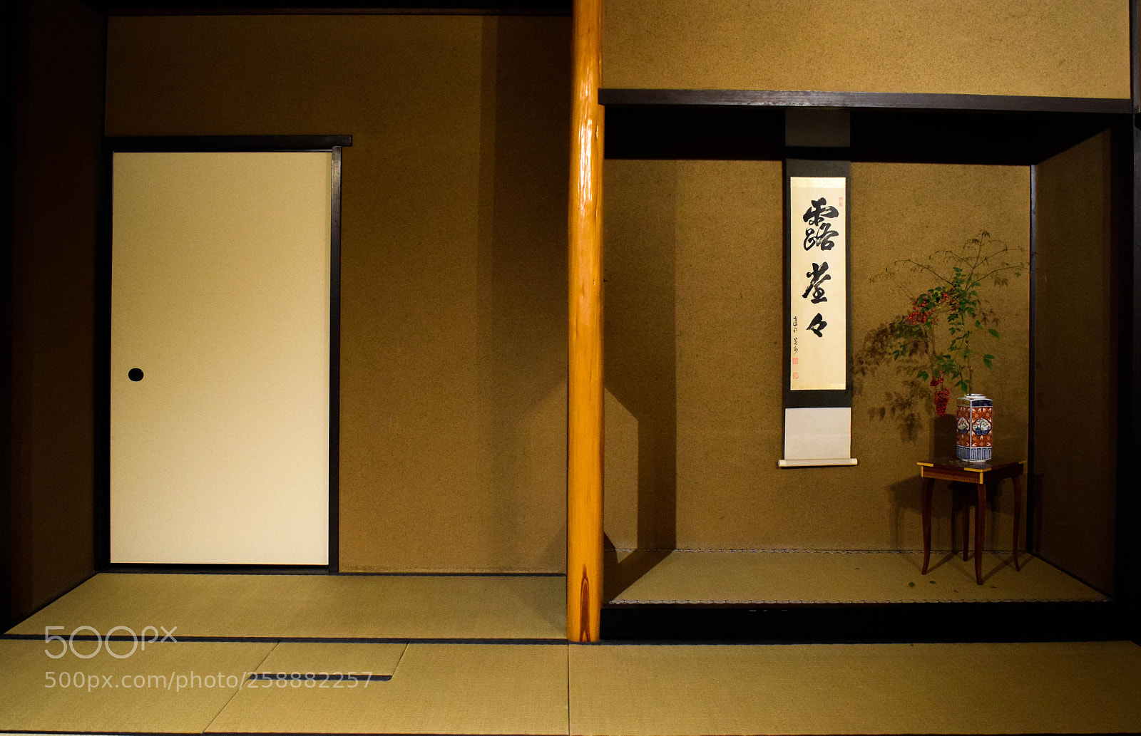 Nikon D5300 sample photo. Independent 1 photography