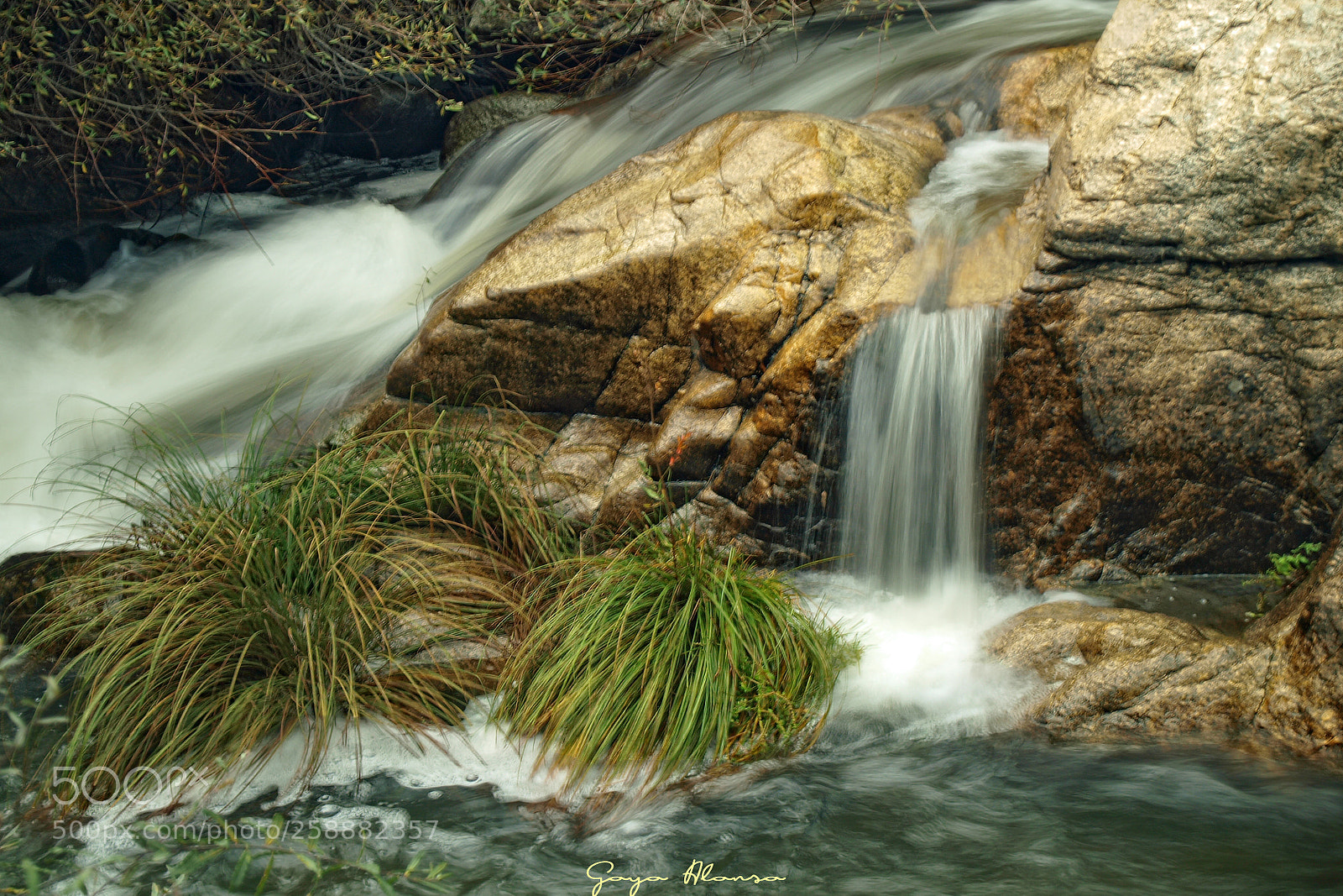 Olympus E-3 sample photo. Salto photography
